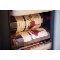 Купить отдельностоящий винный шкаф Cold Vine C12-KSF1